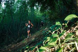 BIB: 
                            <button type="button" onclick="openModal(28123306)" class="btn btn-primary btn-sm float-right btn-popup" data-toggle="modal" data-target=".modal-high-quality">
                        <i class="fas fa-shopping-cart"></i> Add to Cart
                    </button>
                                            <button type="button" onclick="isThisMe(28123306, true)" class="btn btn-success btn-sm float-right btn-popup btn-isme hidden" data-toggle="tooltip" data-placement="bottom" title="นี่คือรูปของคุณใช่ไหม คลิกที่นี่เพื่อเอาเข้าอัลบั้ม">
                        <i class="fas fa-plus"></i> Add to album
                    </button>
                    <button type="button" onclick="isThisMe(28123306, false)" class="btn btn-warning btn-sm float-right btn-popup btn-isnotme hidden">
                        <i class="fas fa-ban"></i> Remove from album
                    </button>